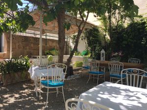 some welcome shade under the fig trees at Bellaverde in Mallorca