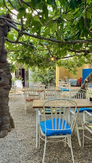   at Bellaverde in Mallorca