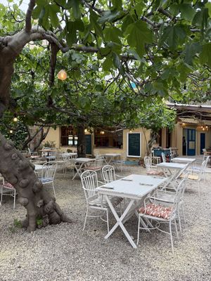 Ambiente   at Bellaverde in Mallorca