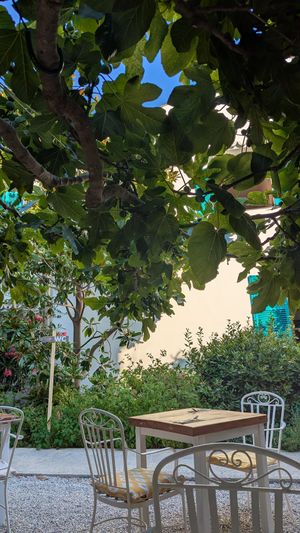  at Bellaverde in Mallorca