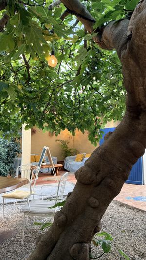   at Bellaverde in Mallorca