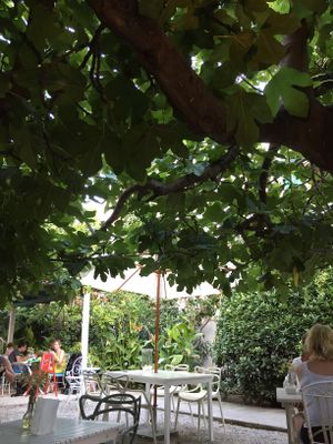 Garden at Bellaverde in Mallorca