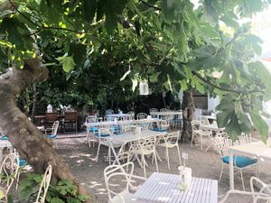 ... with fig trees and lovely atmosphere. at Bellaverde in Mallorca