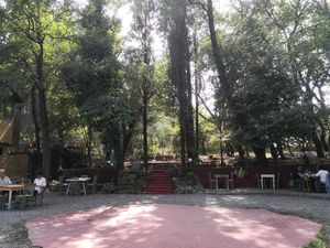 Garten at Lucciola Organic Bistro in Corfu