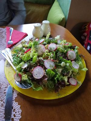 Massive salad at Lucciola Organic Bistro in Corfu
