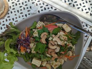  at VEGAN PHUKET in Phuket