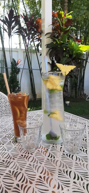  at VEGAN PHUKET in Phuket