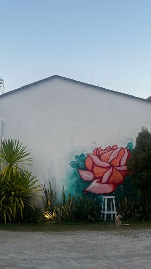   at VEGAN PHUKET in Phuket