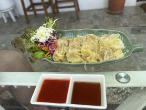 Dumplings  at VEGAN PHUKET in Phuket