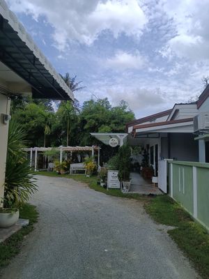  at VEGAN PHUKET in Phuket