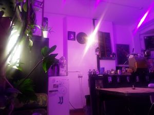  at Black Salt in South East London