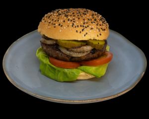 our vegan burger. at Frietmeesters in Haarlem