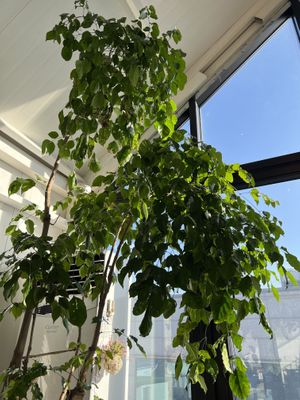   at Coffee Doga Heritage - Itaewon branch 커피도가 헤리티지 이태원점 in Seoul