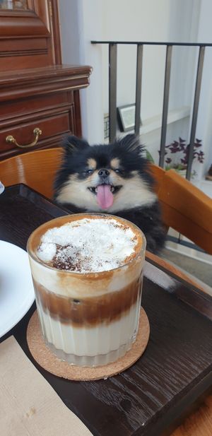 Coconut latte at Coffee Doga Heritage - Itaewon branch 커피도가 헤리티지 이태원점 in Seoul