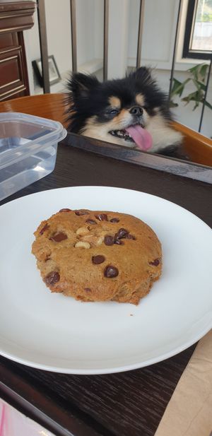 Cookie at Coffee Doga Heritage - Itaewon branch 커피도가 헤리티지 이태원점 in Seoul