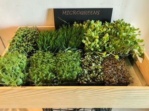 Germinados   at Nu Market & Coffee in Mallorca