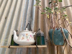   at Millie Mae's Pantry in Kangaroo Island