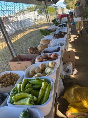 Some of the veggies  at Vieques Farmers' Market  in Vieques