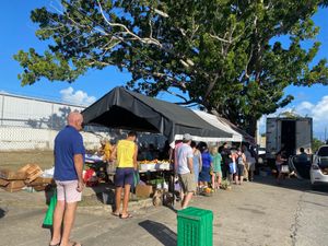 Be prepared to stand in line to pay. Bring your own bags to carry the produce home.  at Vieques Farmers' Market  in Vieques