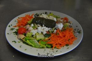 Turkish Salad at Agora Mediterranean Kitchen in West Palm Beach