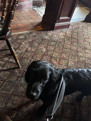   at The Globe in Glossop