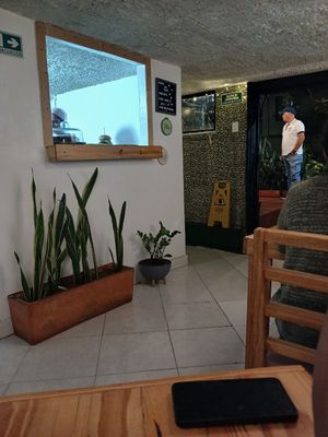 Interior #Veganuary at Oh! Food in Envigado
