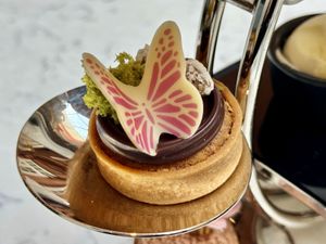 Butterfly   at Peacock Alley in Edinburgh