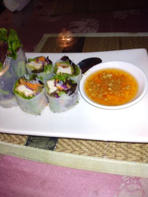 Delicious Spring Rolls with tofu. at Yummy Thai in Rome