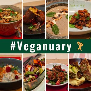  at Goldener Engel in Deggendorf