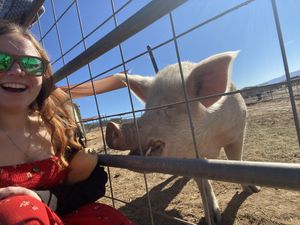 Happy pig! at Sale Ranch Animal Sanctuary in Temecula