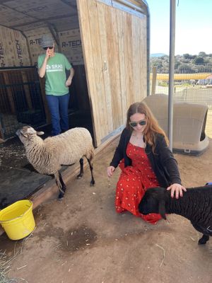 The special needs barn  at Sale Ranch Animal Sanctuary in Temecula