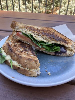 hummus toasty   at Dancing Waters Cafe in Springbrook