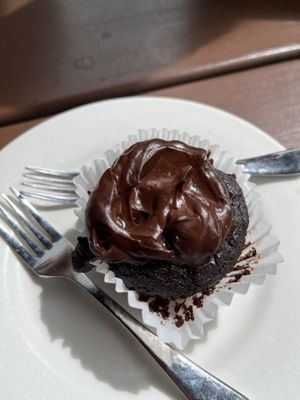 Gf chocolate muffin   at Dancing Waters Cafe in Springbrook