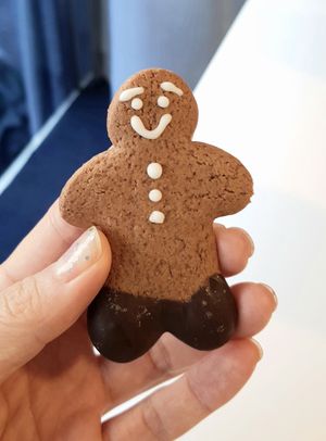 crunchy gingerbread cookie at So Unique 쏘유니크 비건랩 in Ansan