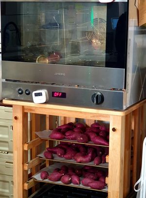 use fresh at Vegan Forest 비건 숲 in Ansan