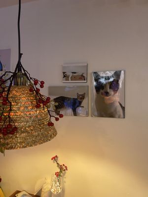   at Camouflage in Seoul