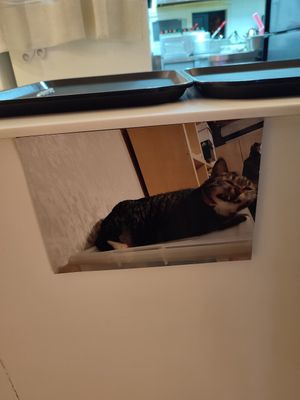  at Camouflage in Seoul