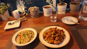 Fried rice and kungpao chicken. at Camouflage in Seoul