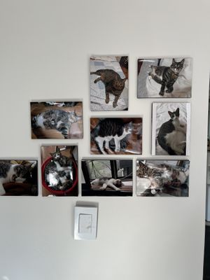   at Camouflage in Seoul