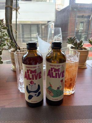 Delicious kombucha   at Camouflage in Seoul