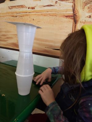 we will be back thank you #Veganuary at Maira in Louisville