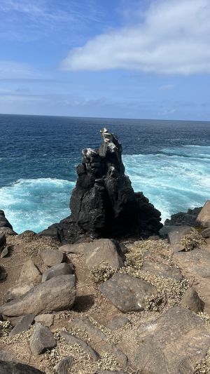Galapagos!!!  at Wyndham Quito Airport in Quito