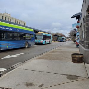 They're at the transit station. at Golden Yolk in Missoula