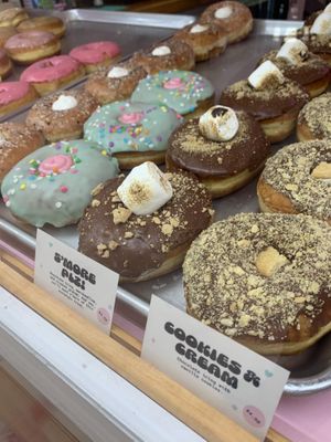 Donuts in the case!  at Dough Joy - East Pike Street in Seattle