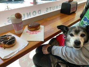 Cookies and cream, bavarian cream, and a soy latte (+ a happy dog) at Dough Joy - East Pike Street in Seattle