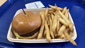 Beyond burger with fries    at Orbit Cafe in Merritt Island
