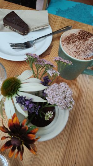 Choc avo tart and chocolate lions mane drink at Star Anise Arts Cafe in Stroud