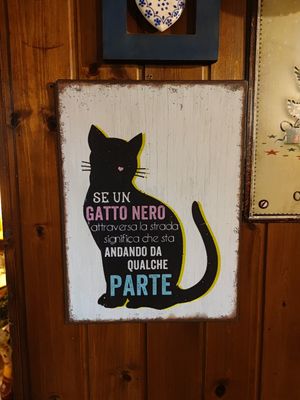  at Pizzeria Il Nuraghe in Seravezza