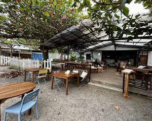 Patio on the street across from the sea  at Biribá in Puerto Viejo De Talamanca
