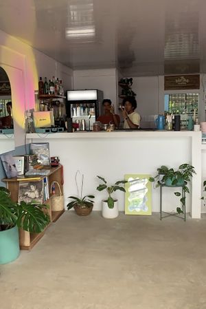   at Biribá in Puerto Viejo De Talamanca